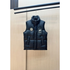 Louis Vuitton Down Jackets